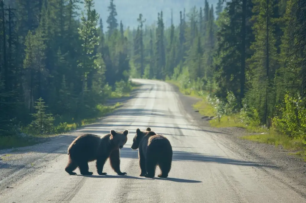 Omgaan met verkoopbezwaren