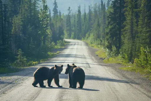 Omgaan met verkoopbezwaren